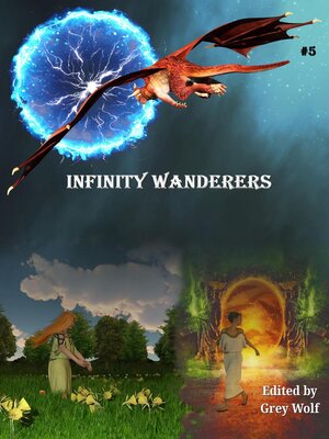 cover image of Infinity Wanderers 5